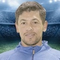 M. Gomes