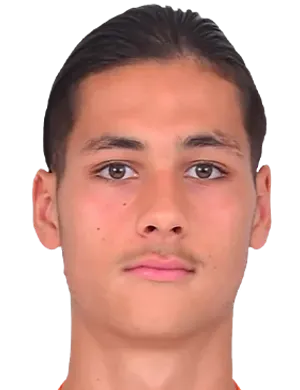 N. El Hannach