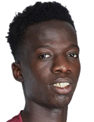 P. Diallo