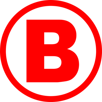 Coronel Bolognesi