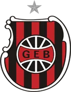 Grêmio Esportivo Brasil