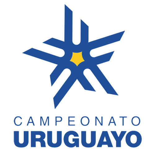 Liga AUF Intermedio 2024