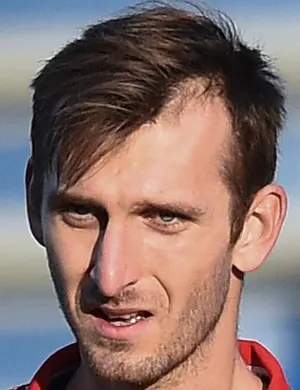 N. Gyömbér