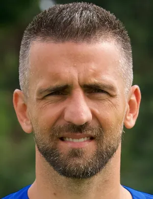 V. Ibisevic