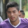 F. Palma