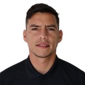 R. Villamizar