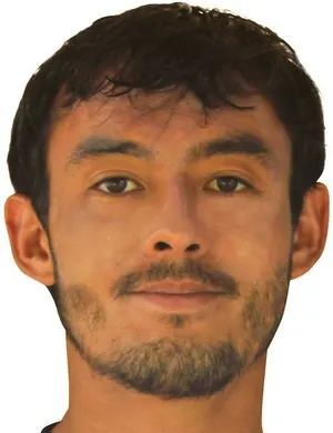 M. Tajima