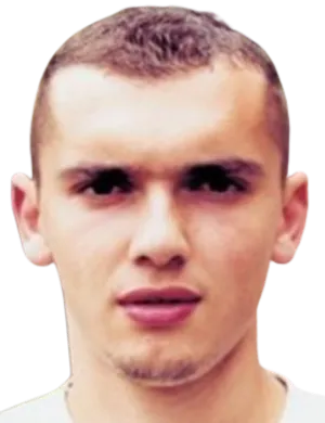 N. Gjosevski