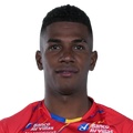 D. Pino