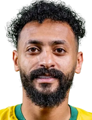 M. Hamzi