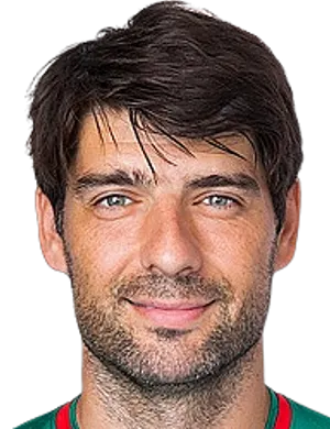 V. Corluka