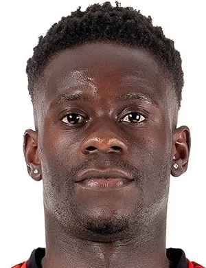 D. Badji