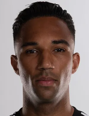 D. Hoesen