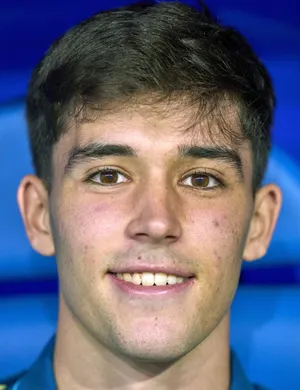 M. Esteban