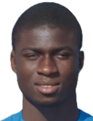 N. Demba-Nyrén