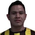 D. Mancilla