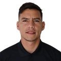 R. Villamizar