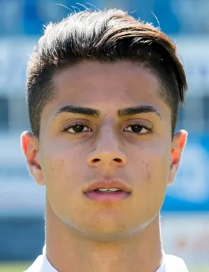 H. Mastour