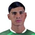 P. Vaca