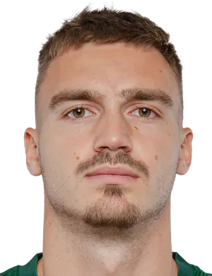 P. Pokorný
