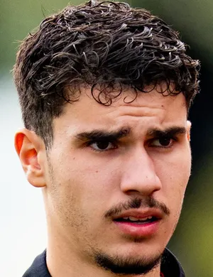 S. van Persie