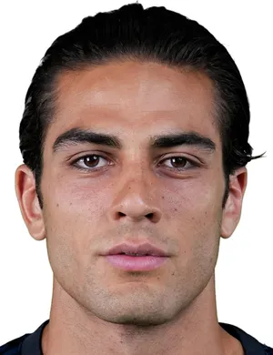 D. Alemdar