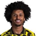 K. Adeyemi