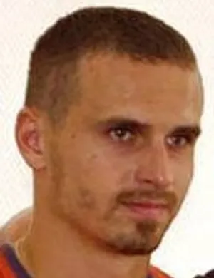 R. Niculescu