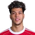 E. Ashour