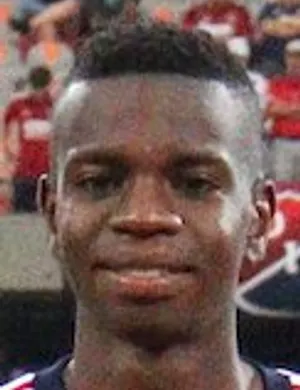 M. Palacios