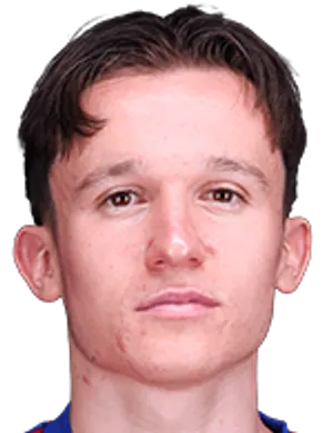 M. Ilenic