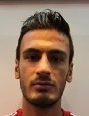 V. Dikmen