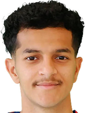 N. Al-Saadi
