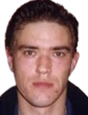 V. Litvinov