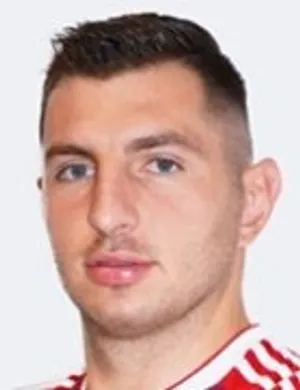 N. Trujic