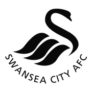 Swansea City · 1 pts · 33.33%